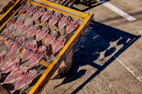 三崎漁港(三浦市)近くの漁師宿で朝食に出された絶品干物の味が忘れられません!