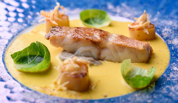 箱根 翠松園の料理(鉄板焼き)